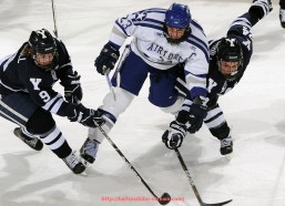 海豚直播-意甲联赛中收购球队的小说与影视作品