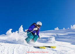 海豚直播-战术核心传球成功率如何？世俱杯主打区域内出球数据剖析
